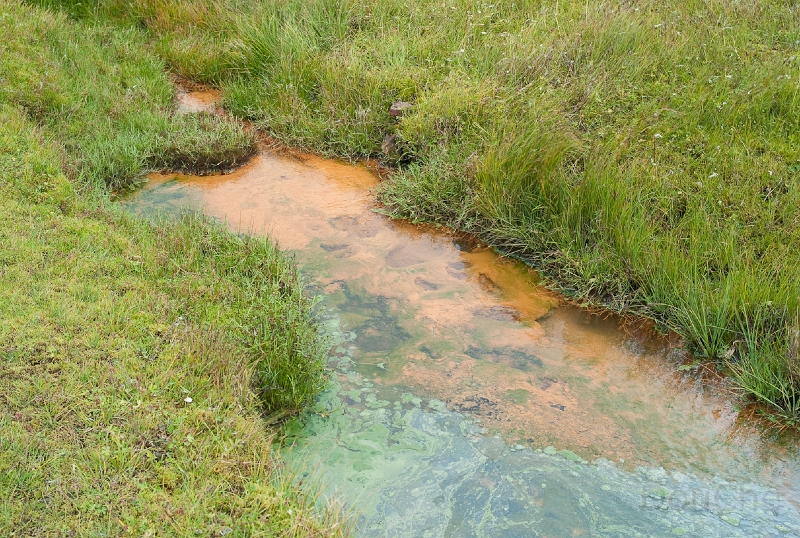 L1007942.jpg - Nice colors ...