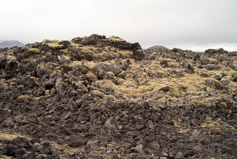L1007238.jpg - Moss-covered lava fields ... you see them everywhere !