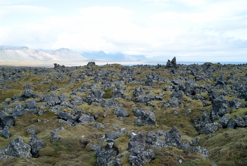 L1007254.jpg - Guess what? Yep, moss-covered lava fields ...