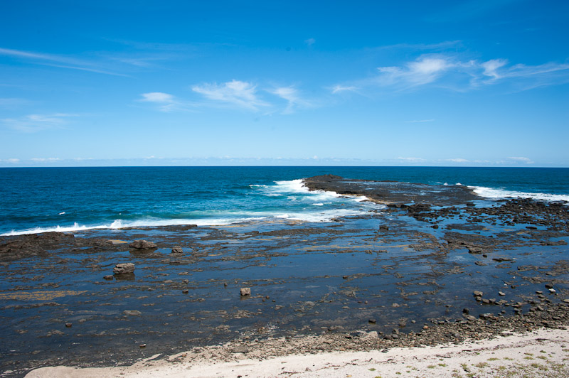 DSC_8205.jpg - Black head ...