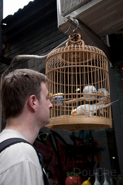 DSC_5868.jpg - Birdie in the cage, man out of the cage