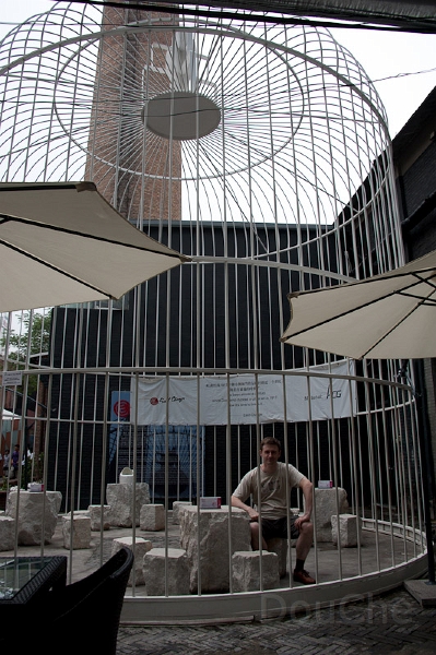 DSC_5871.jpg - Man in the cage, looking at birdie out of the cage