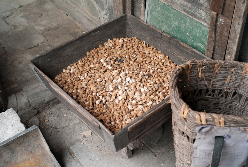 L1010792.jpg - Almonds drying