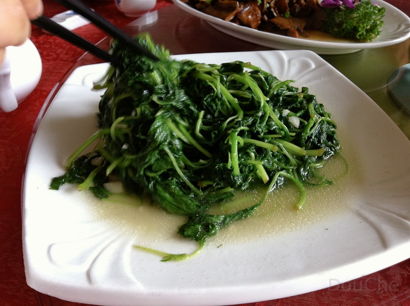 IMG_0763.jpg - Vegie