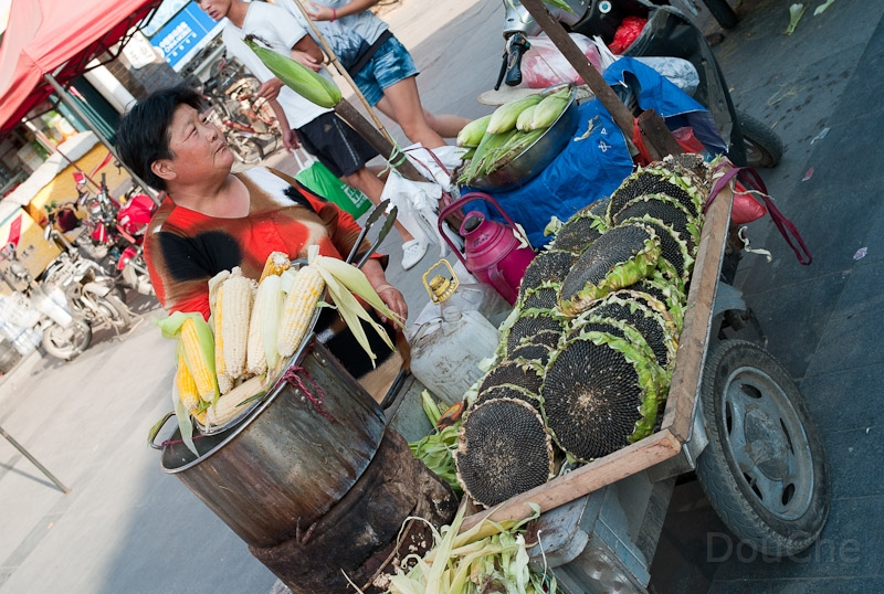 L1009863.jpg - Selling sun flower seeds