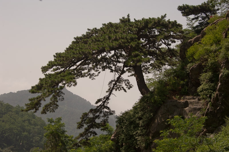 DSC_4757.jpg - The landscapes around are impressive ...