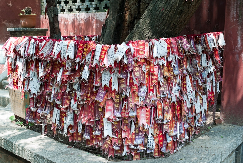 L1009766.jpg - Along the way up, many good luck items are found ... here wishes attached to a tree