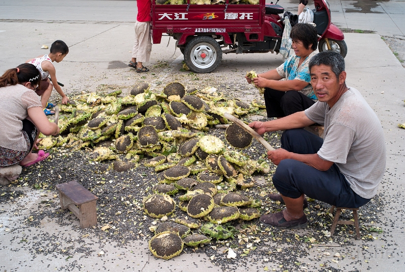 L1010493.jpg - Removing sun flower seeds
