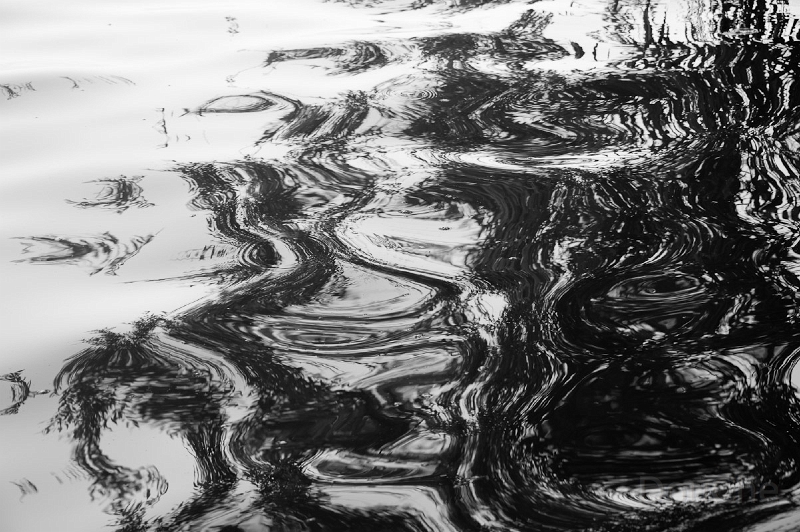 DSC_5702.jpg - Ink on rice paper ...