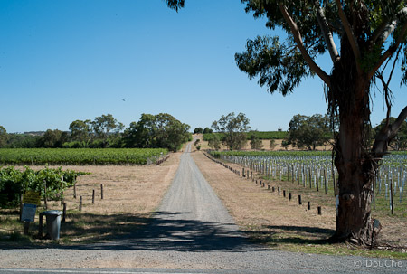 McLaren Vale