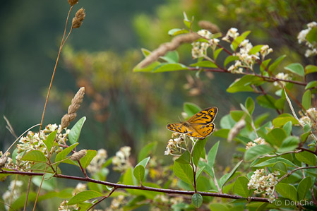Mount Gambier - Valley Lake
