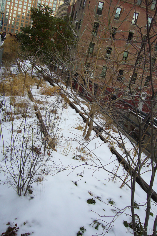 The high line - previous subway turned into park