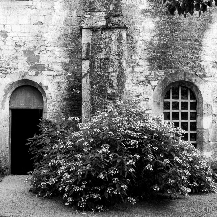 Fontenay-August 14, 2014