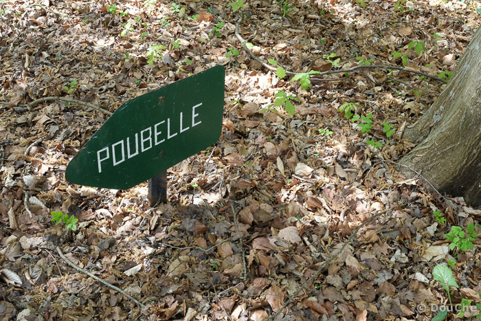 Compeigne-April 19, 2014