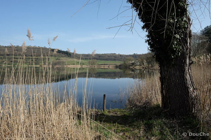 Schalkenmehrener Maar