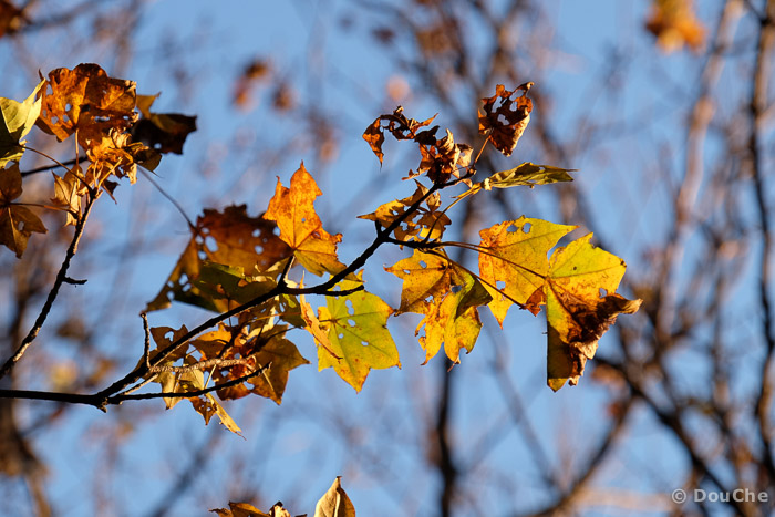 Funagawaminato Honzanmonzen