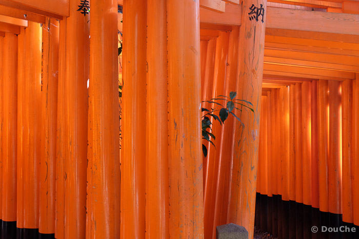  - Fukakusa Yabunouchicho