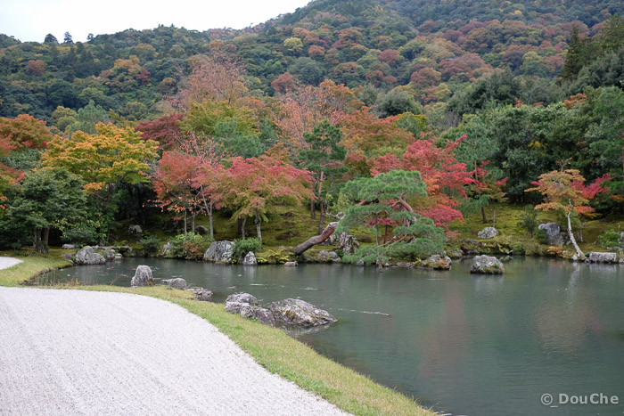  - Sagatenryuji Susukinobabacho